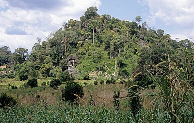 Landschaft - Selous Kisaki Road