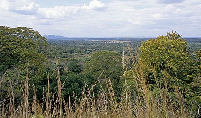 Landschaft - Selous Kisaki Road