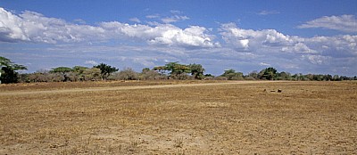 Mtemere Airstrip: Landebahn - Selous Wildreservat