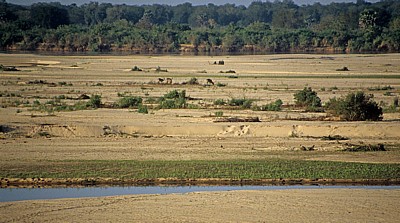 Rufiji - Selous Wildreservat