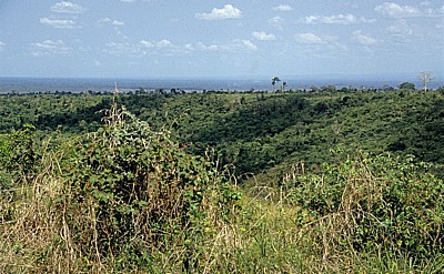 Fahrt Mtemere Gate, Selous Game Reserve - Daressalam: Landschaft - Pwani Region