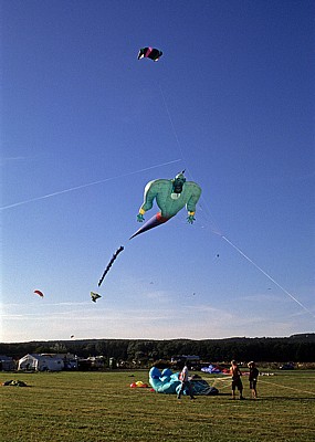 Internationales Drachenfest: Drachen Dschinni - Melle