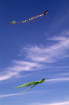 Internationales Drachenfest: Drachen - Melle