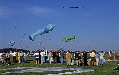 Internationales Drachenfest: Drachen - Melle