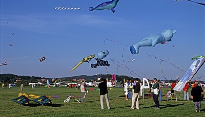 Internationales Drachenfest: Drachen - Melle