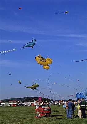 Internationales Drachenfest: Drachen - Melle