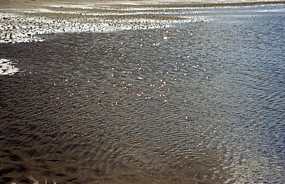 Crosby Beach: Wassersaum - Crosby
