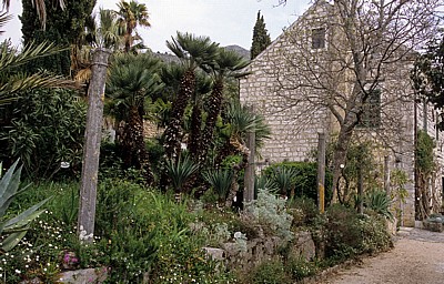 Arboretum von Trsteno: Gucetic-Lustgarten vor der Sommerresidenz - Trsteno
