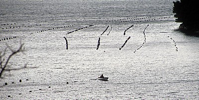 Malostonski zaljev (Kanal Malog Stona, Bucht von Mali Ston): Austernzucht - Gespanschaft Dubrovnik-Neretva