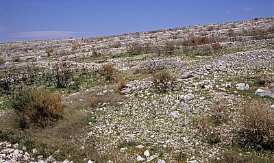 Vegetation - Gespanschaft Sibenik-Knin
