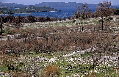 Vegetation - Gespanschaft Sibenik-Knin