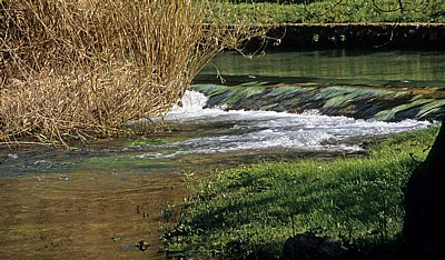 Fluß Krka oberhalb der Skradinski buk (Skradin-Wasserfälle) - Nationalpark Krka