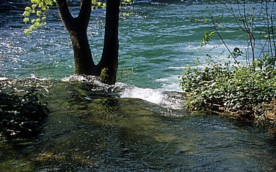 Fluß Krka oberhalb der Skradinski buk (Skradin-Wasserfälle): Kaskaden - Nationalpark Krka