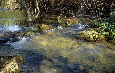 Fluß Krka oberhalb der Skradinski buk (Skradin-Wasserfälle): Kaskaden - Nationalpark Krka