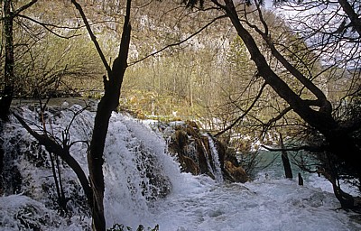 Donja jezera (Untere Seen): Wasserfälle zwischen Gavanovac (rechts) und Milanovac - Nationalpark Plitvicer Seen