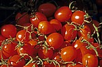 Viktualienmarkt: Tomaten - München