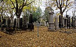 Wiener Zentralfriedhof: Gruppe 55 A - Wien
