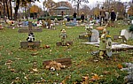 Wiener Zentralfriedhof: Gruppe 35 B (Babyfriedhof) - Wien
