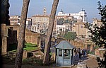 Westliches Forum Romanum: - Rom