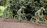 St James's Park: Buchsbaum in Form von Radfahrern - London