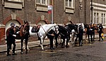 Great Scotland Yard: Berittene Polizei - Absitzen - London