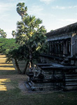 Angkor Wat - Angkor