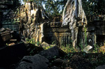 Preah Khan: Kapokbaumwurzeln - Angkor