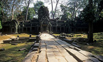 Ta Prohm - Angkor
