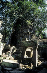 Ta Prohm - Angkor