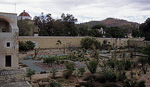 Jardín Etnobotánico - Oaxaca