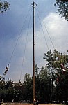 Chapultepec: Voladores - Mexiko-Stadt