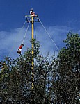 Chapultepec: Voladores - Mexiko-Stadt