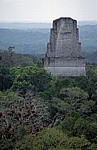 Blick von Tempel IV: Tempel III - Tikal