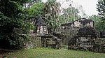 Tikal