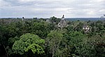 Blick vom Tempel V: Blick in Richtung Große Plaza mit den Spitzen der Tempel II (links) und I - Tikal