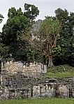 Acropolis Central (Zentrale Akropolis) - Tikal