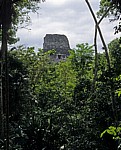 Tempel V - Tikal