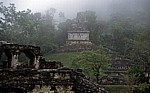 Templo de la Cruz (Tempel des Kreuzes) - Palenque