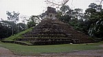 Templo de la Cruz (Tempel des Kreuzes) - Palenque