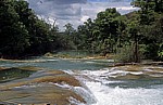 Reserva Biósfera Cascadas Agua Azul: Rio Yax - Agua Azul