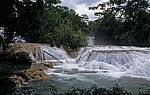 Reserva Biósfera Cascadas Agua Azul: Cascadas - Agua Azul