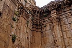 Tempel des Bacchus: Bauschmuck an den Innenwänden - Baalbek