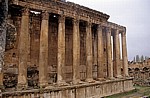 Tempel des Bacchus - Baalbek
