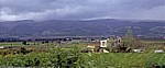 Landwirtschaft (u.a. Wein) - Bekaa-Ebene