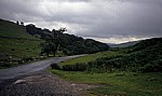 Typische Landschaft der Dales - Yorkshire Dales