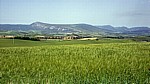 Jakobsweg (Navarrischer Weg): Landschaft zwischen Cizur Menor und Zaraquiegui - Navarra