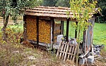 Jakobsweg (Caminho Português): Vorratsspeicher für Mais  - Rubiães