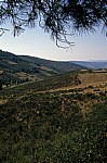 Hinterland - Distrito de Bragança