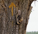 Jakobsweg (Camino Francés): Der gelbe Pfeil neben dem ausgemusterten Schuh weist den Weg - Castilla y León