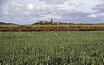 Jakobsweg (Camino Francés): Getreidefelder in der Meseta - Castilla y León